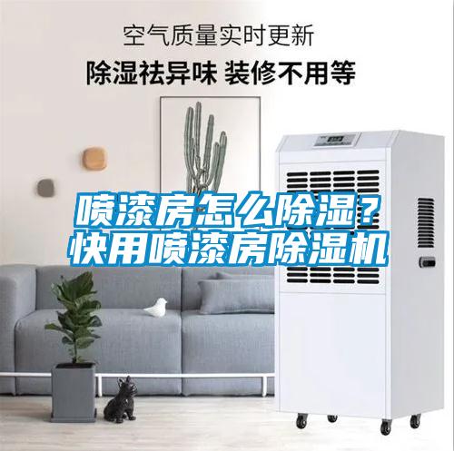 噴漆房怎么除濕？快用噴漆房除濕機(jī)