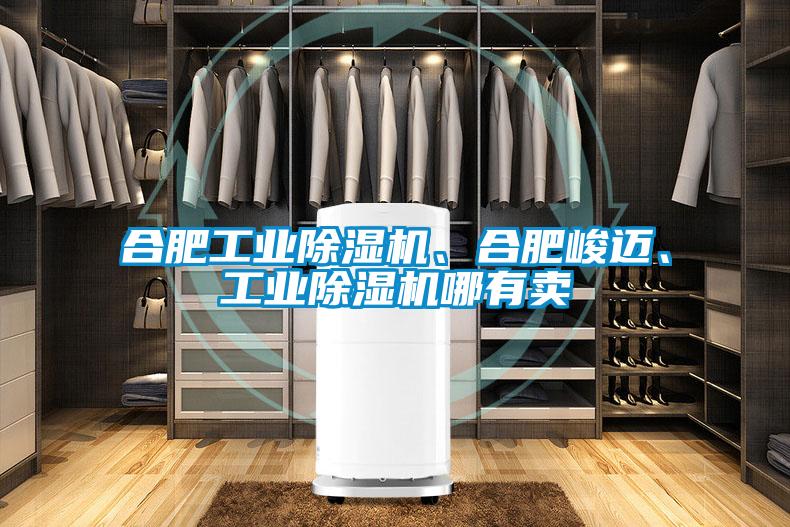 合肥工業(yè)除濕機、合肥峻邁、工業(yè)除濕機哪有賣