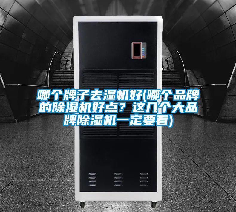 哪個牌子去濕機(jī)好(哪個品牌的除濕機(jī)好點？這幾個大品牌除濕機(jī)一定要看)