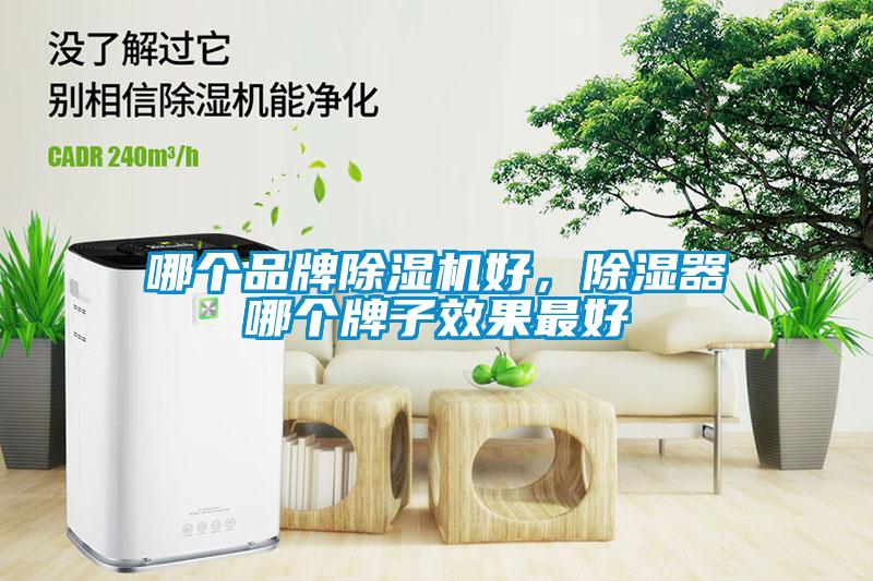 哪個品牌除濕機(jī)好，除濕器哪個牌子效果最好