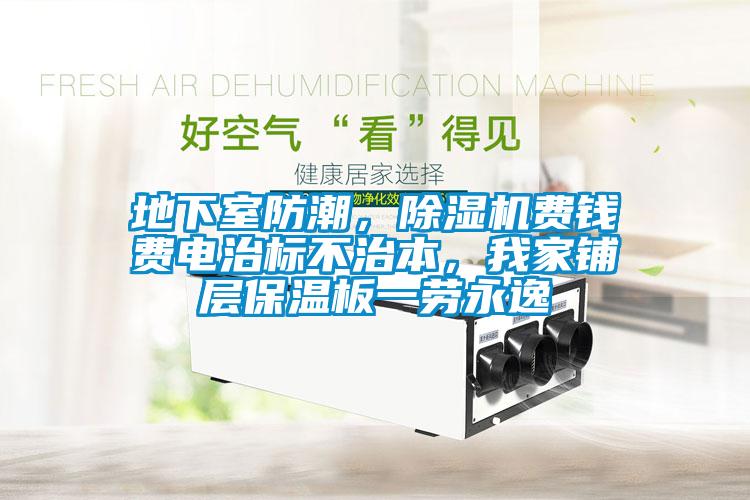 地下室防潮，除濕機(jī)費(fèi)錢費(fèi)電治標(biāo)不治本，我家鋪層保溫板一勞永逸