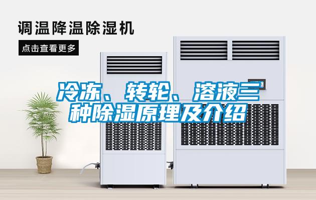 冷凍、轉(zhuǎn)輪、溶液三種除濕原理及介紹