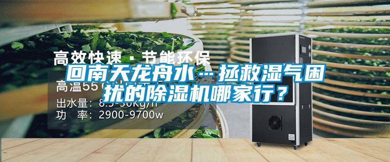 回南天龍舟水…拯救濕氣困擾的除濕機(jī)哪家行？