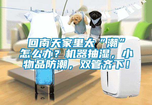 回南天家里太“潮”怎么辦？機(jī)器抽濕，小物品防潮，雙管齊下！