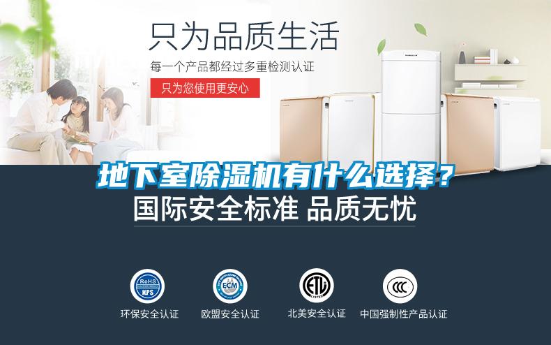 地下室除濕機(jī)有什么選擇？