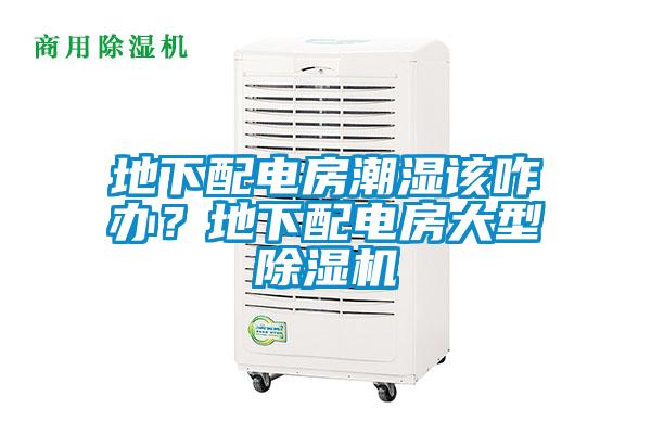 地下配電房潮濕該咋辦？地下配電房大型除濕機(jī)