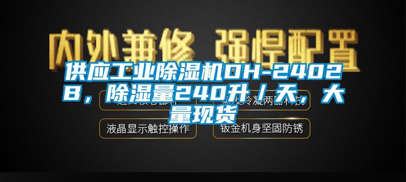 供應(yīng)工業(yè)除濕機(jī)DH-2402B，除濕量240升／天，大量現(xiàn)貨