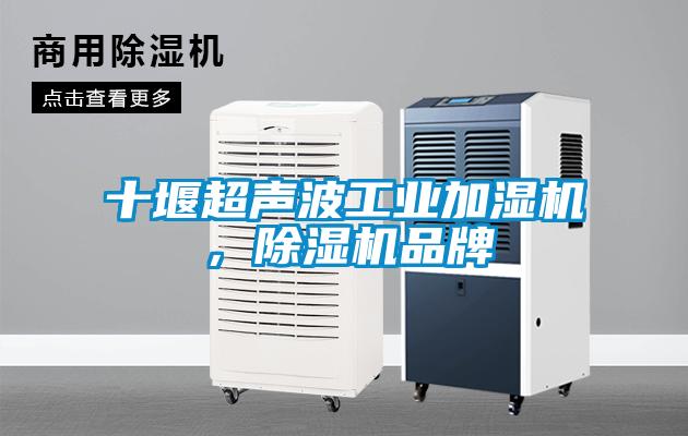 十堰超聲波工業(yè)加濕機，除濕機品牌