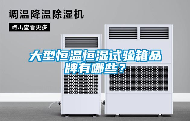 大型恒溫恒濕試驗(yàn)箱品牌有哪些？