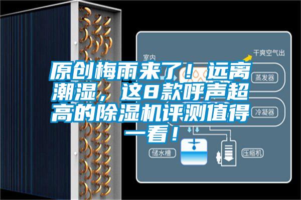 原創(chuàng)梅雨來(lái)了！遠(yuǎn)離潮濕，這8款呼聲超高的除濕機(jī)評(píng)測(cè)值得一看！
