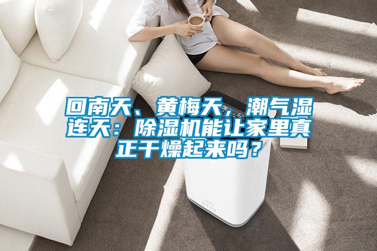 回南天、黃梅天，潮氣濕連天：除濕機(jī)能讓家里真正干燥起來嗎？