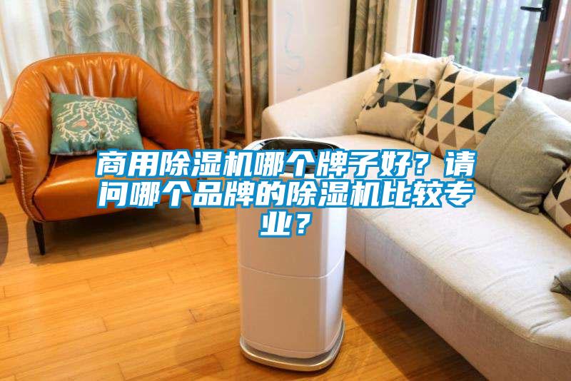 商用除濕機哪個牌子好？請問哪個品牌的除濕機比較專業(yè)？