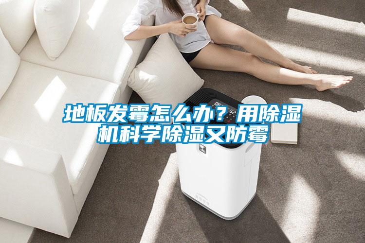 地板發(fā)霉怎么辦？用除濕機(jī)科學(xué)除濕又防霉