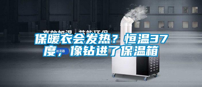 保暖衣會(huì)發(fā)熱？恒溫37度，像鉆進(jìn)了保溫箱
