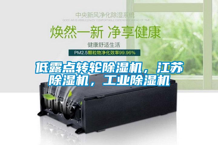 低露點轉(zhuǎn)輪除濕機，江蘇除濕機，工業(yè)除濕機