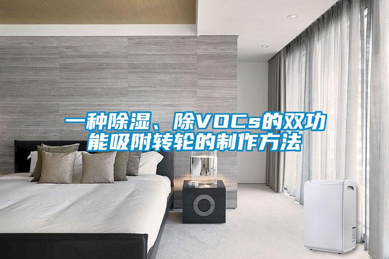 一種除濕、除VOCs的雙功能吸附轉(zhuǎn)輪的制作方法