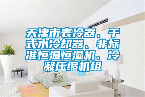 天津市表冷器、干式水冷卻器、非標(biāo)準(zhǔn)恒溫恒濕機(jī)、冷凝壓縮機(jī)組