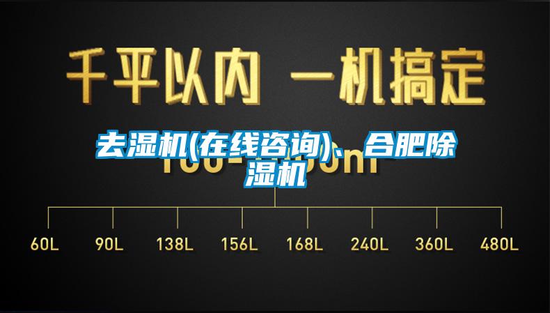 去濕機(jī)(在線咨詢)、合肥除濕機(jī)