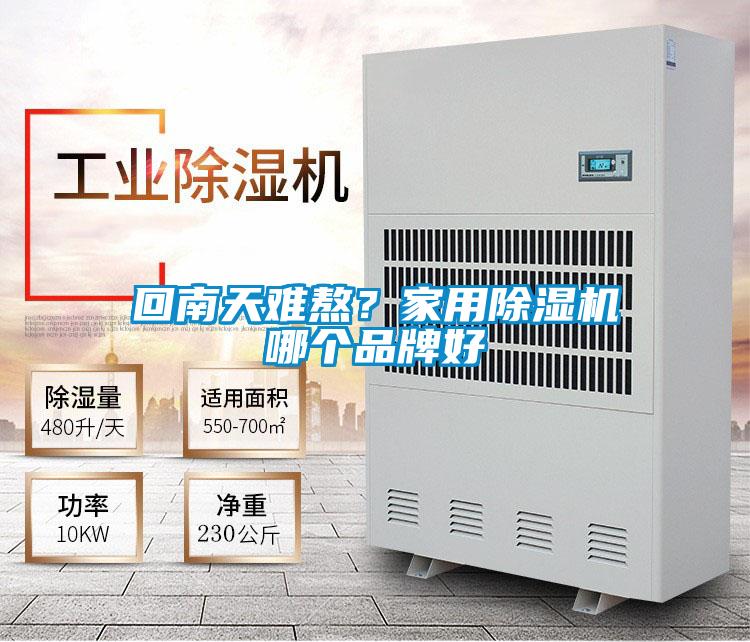 回南天難熬？家用除濕機(jī)哪個(gè)品牌好