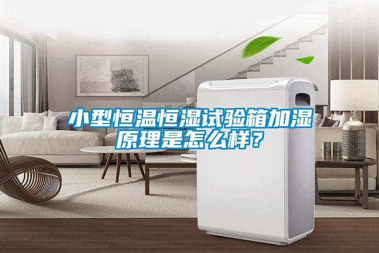 小型恒溫恒濕試驗(yàn)箱加濕原理是怎么樣？