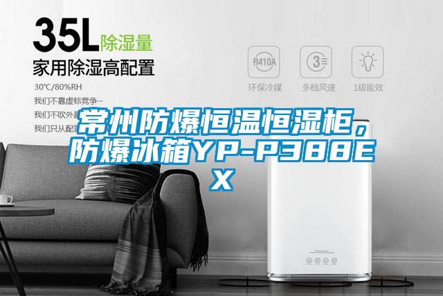 常州防爆恒溫恒濕柜，防爆冰箱YP-P388EX