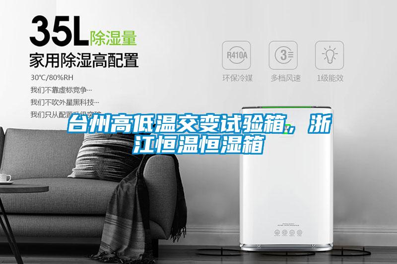 臺州高低溫交變試驗箱，浙江恒溫恒濕箱