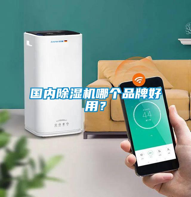 國內(nèi)除濕機(jī)哪個品牌好用？