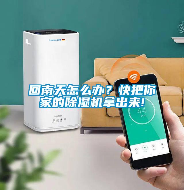 回南天怎么辦？快把你家的除濕機拿出來!