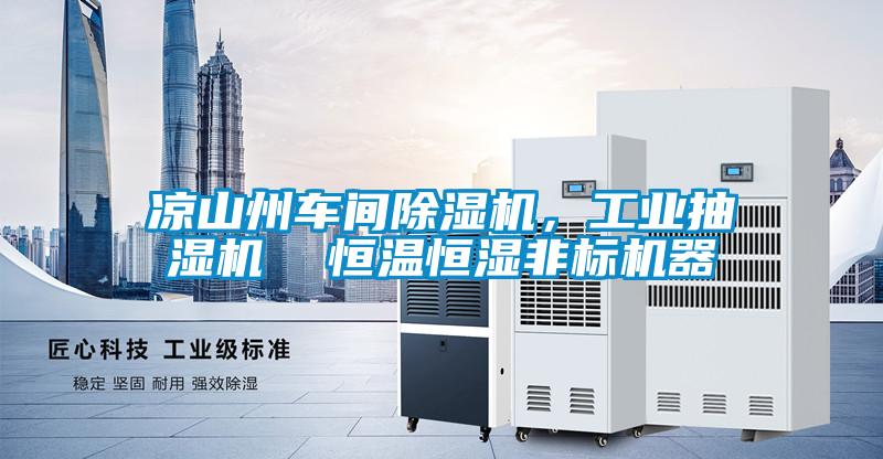 涼山州車間除濕機(jī)，工業(yè)抽濕機(jī)  恒溫恒濕非標(biāo)機(jī)器