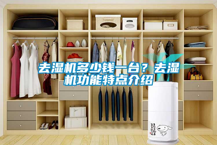 去濕機(jī)多少錢一臺(tái)？去濕機(jī)功能特點(diǎn)介紹