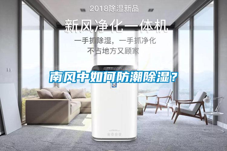 南風(fēng)中如何防潮除濕？