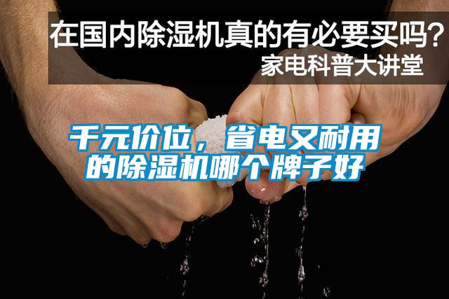 千元價(jià)位，省電又耐用的除濕機(jī)哪個(gè)牌子好