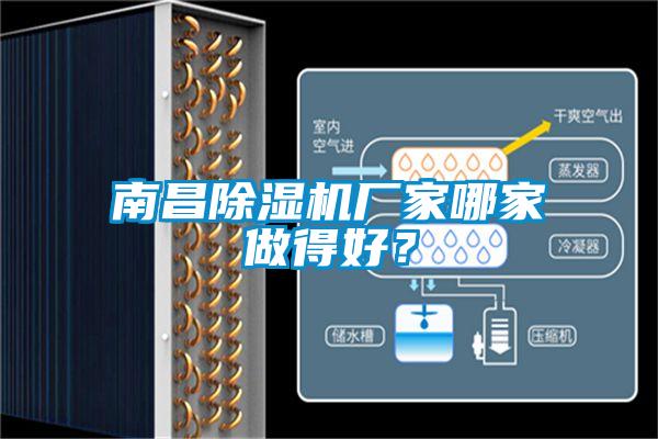 南昌除濕機廠家哪家做得好？