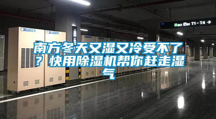 南方冬天又濕又冷受不了？快用除濕機幫你趕走濕氣