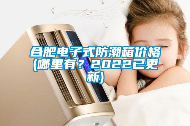 合肥電子式防潮箱價(jià)格(哪里有？2022已更新)
