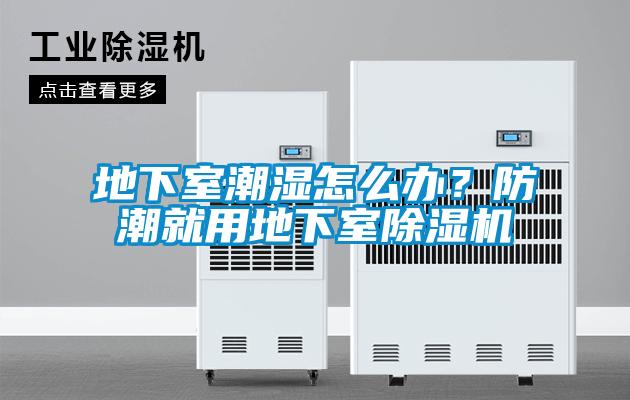地下室潮濕怎么辦？防潮就用地下室除濕機(jī)
