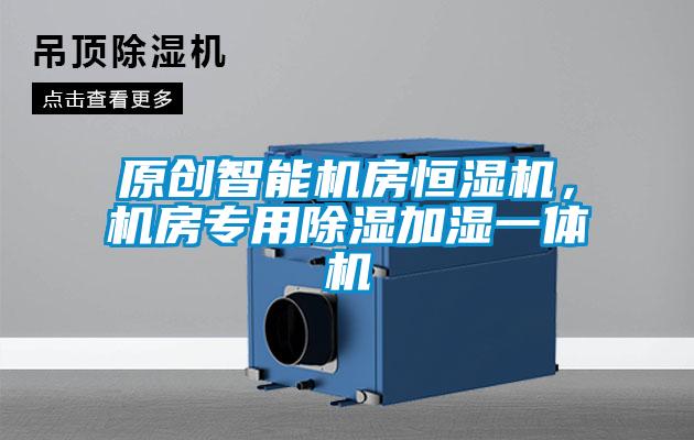 原創(chuàng)智能機房恒濕機，機房專用除濕加濕一體機