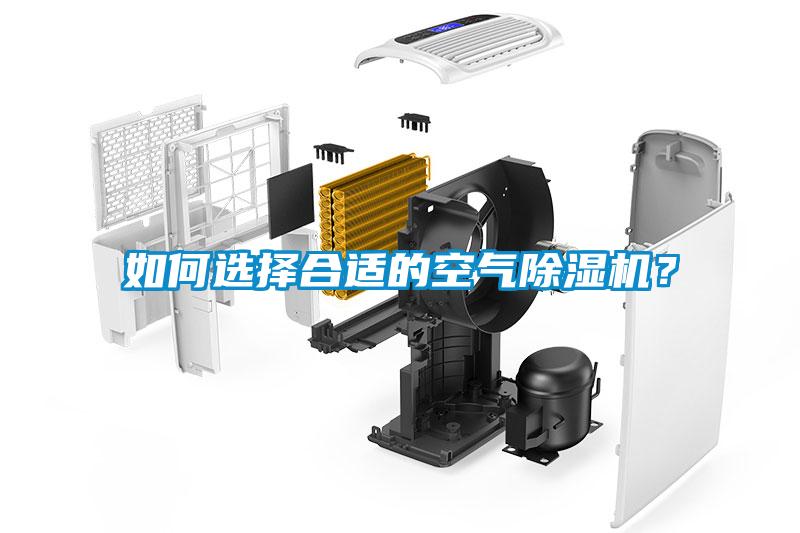 如何選擇合適的空氣除濕機？