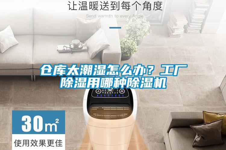 倉(cāng)庫(kù)太潮濕怎么辦？工廠除濕用哪種除濕機(jī)