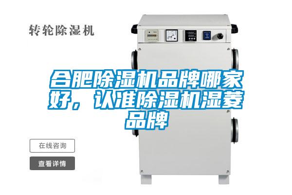 合肥除濕機(jī)品牌哪家好，認(rèn)準(zhǔn)除濕機(jī)濕菱品牌