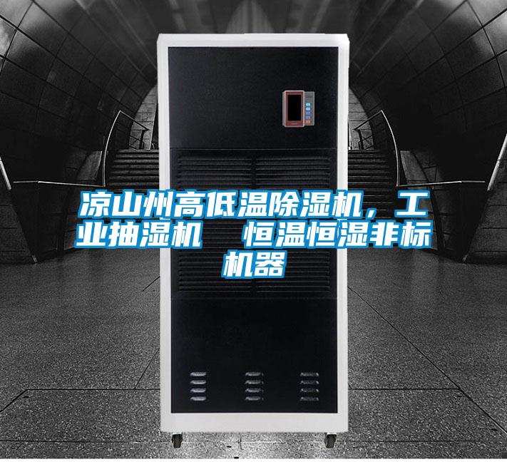涼山州高低溫除濕機(jī)，工業(yè)抽濕機(jī)  恒溫恒濕非標(biāo)機(jī)器