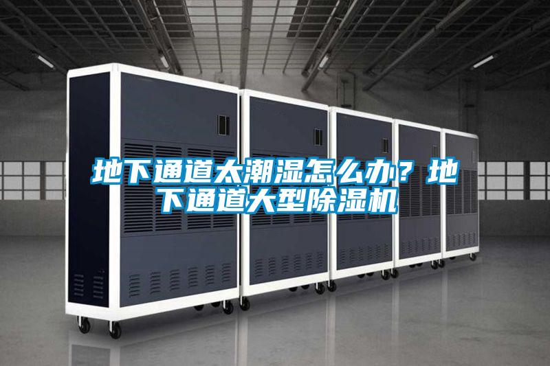 地下通道太潮濕怎么辦？地下通道大型除濕機(jī)