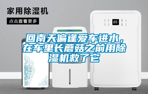 回南天偏逢愛(ài)車(chē)進(jìn)水，在車(chē)?yán)镩L(zhǎng)蘑菇之前用除濕機(jī)救了它