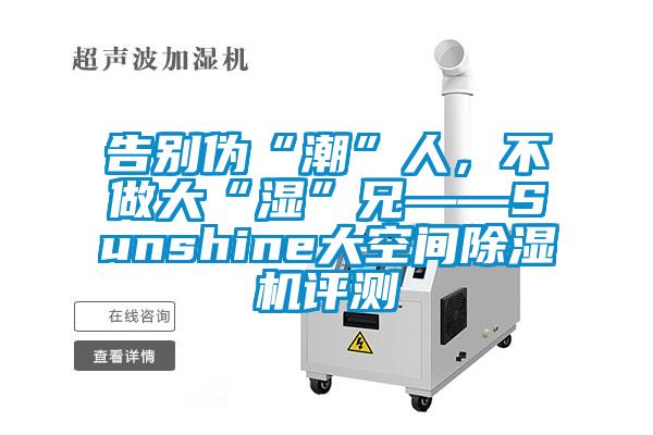 告別偽“潮”人，不做大“濕”兄——Sunshine大空間除濕機評測