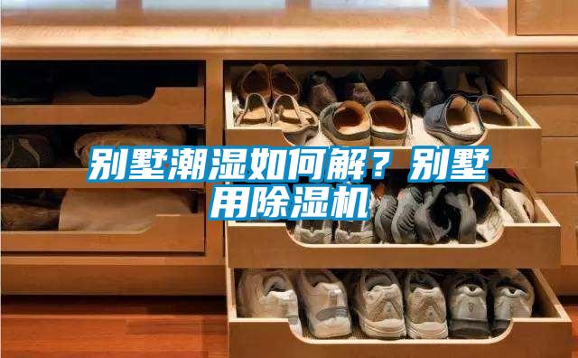 別墅潮濕如何解？別墅用除濕機