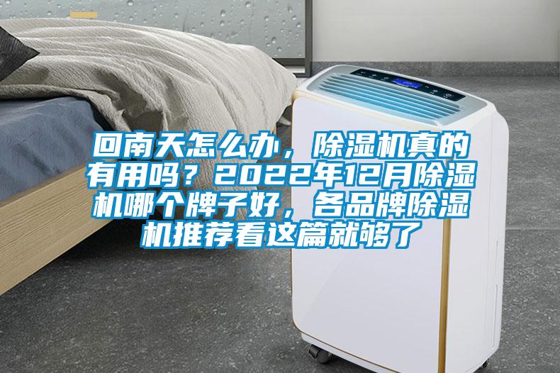 回南天怎么辦，除濕機真的有用嗎？2022年12月除濕機哪個牌子好，各品牌除濕機推薦看這篇就夠了