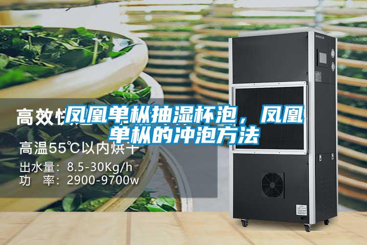 鳳凰單樅抽濕杯泡，鳳凰單樅的沖泡方法
