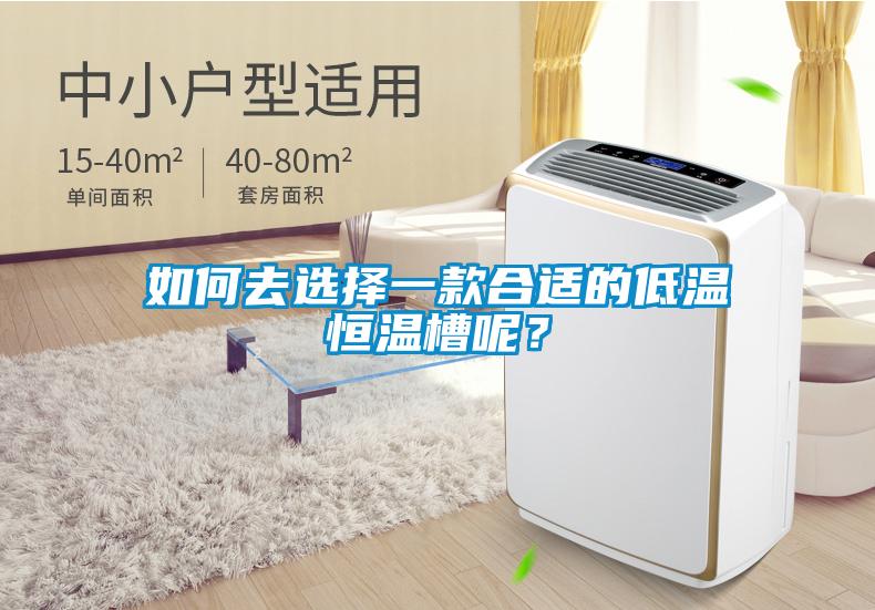 如何去選擇一款合適的低溫恒溫槽呢？