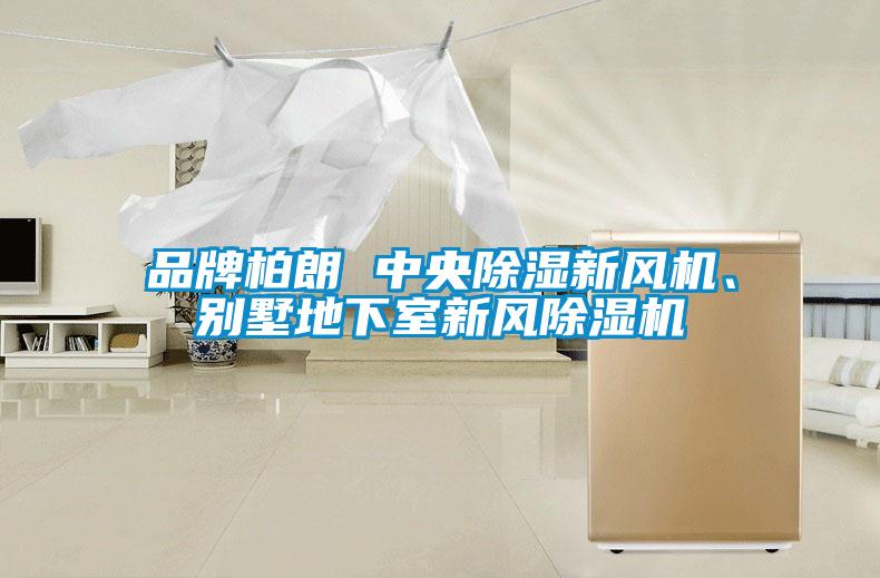 品牌柏朗 中央除濕新風(fēng)機(jī)、別墅地下室新風(fēng)除濕機(jī)