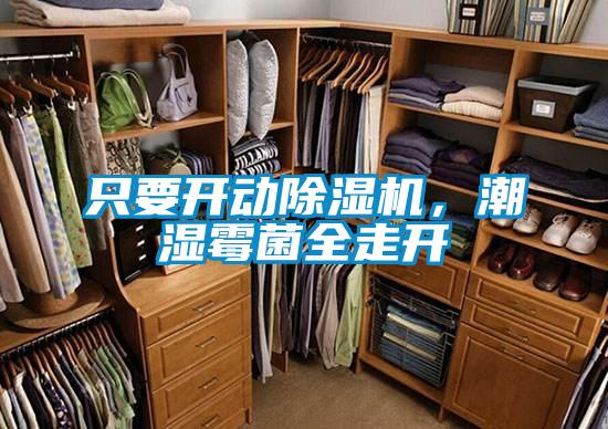只要開動除濕機，潮濕霉菌全走開